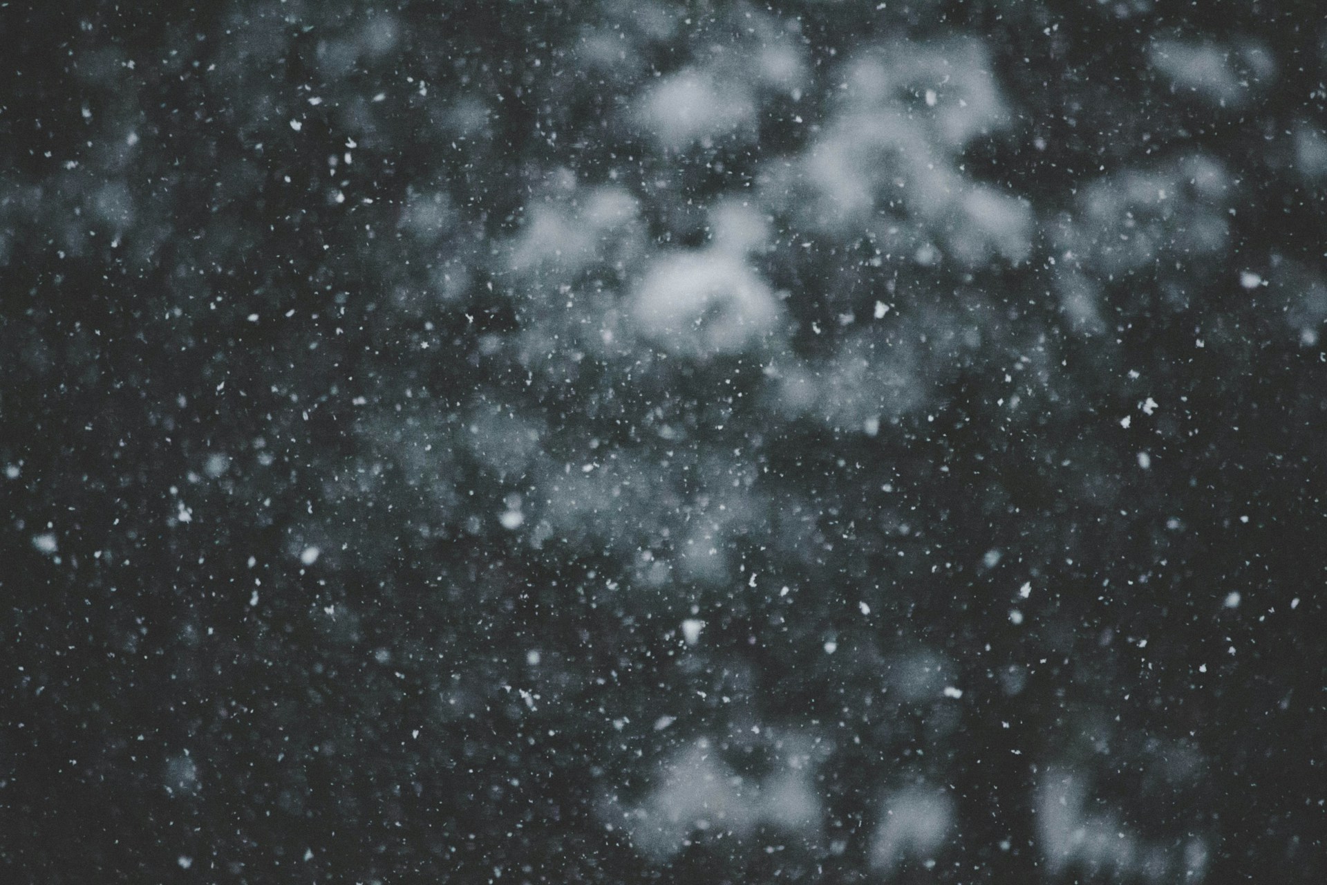 Foto en blanco y negro de nieve cayendo